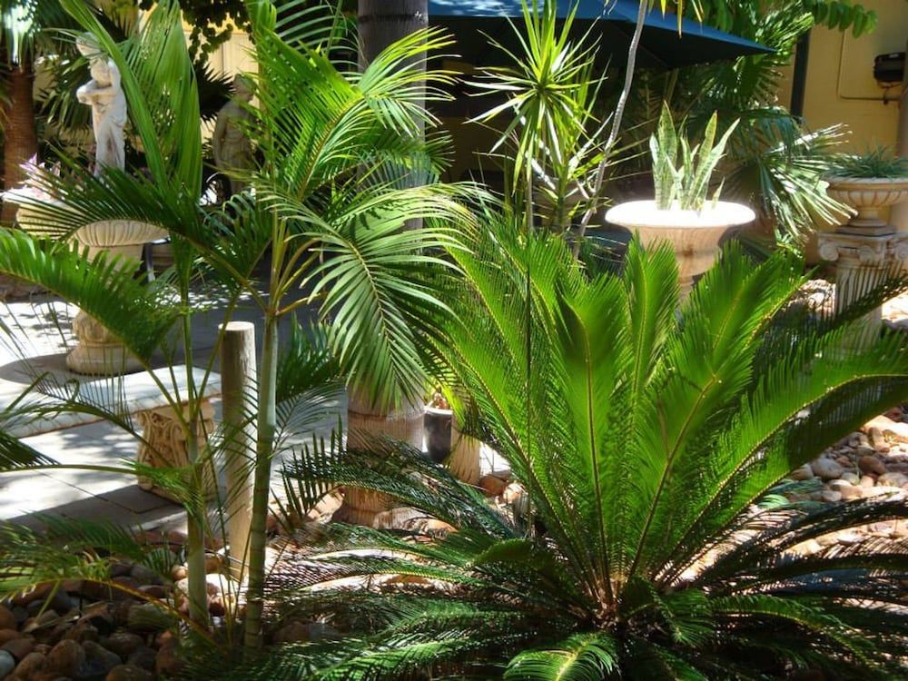 Elkira Court Motel 3