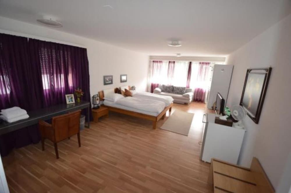 City Hotel Wettingen 3