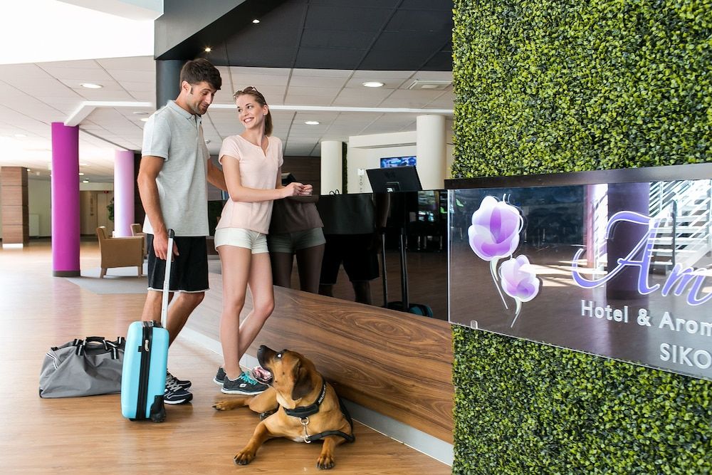 Ambient Hotel & Aromaspa Sikonda 2