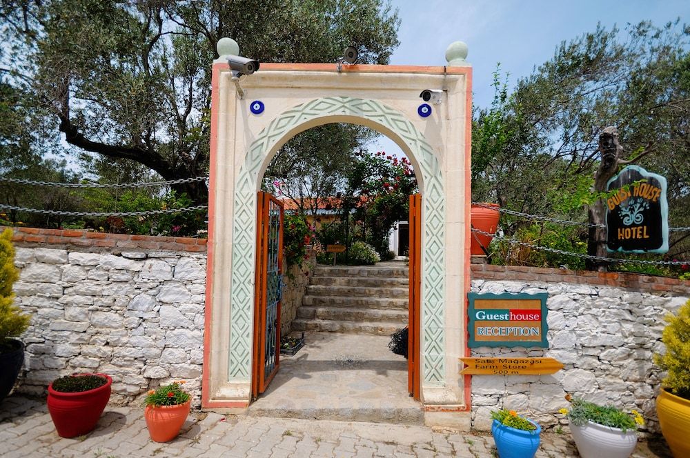 Olive Farm Of Datca 3