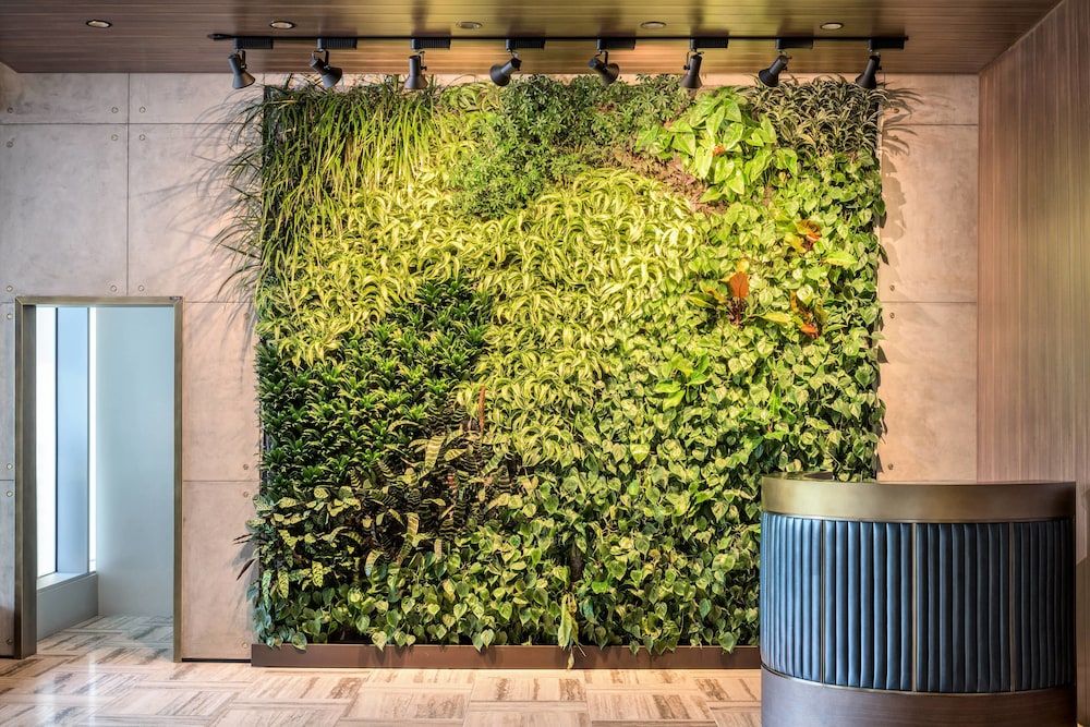 the DOUGLAS, Autograph Collection 2