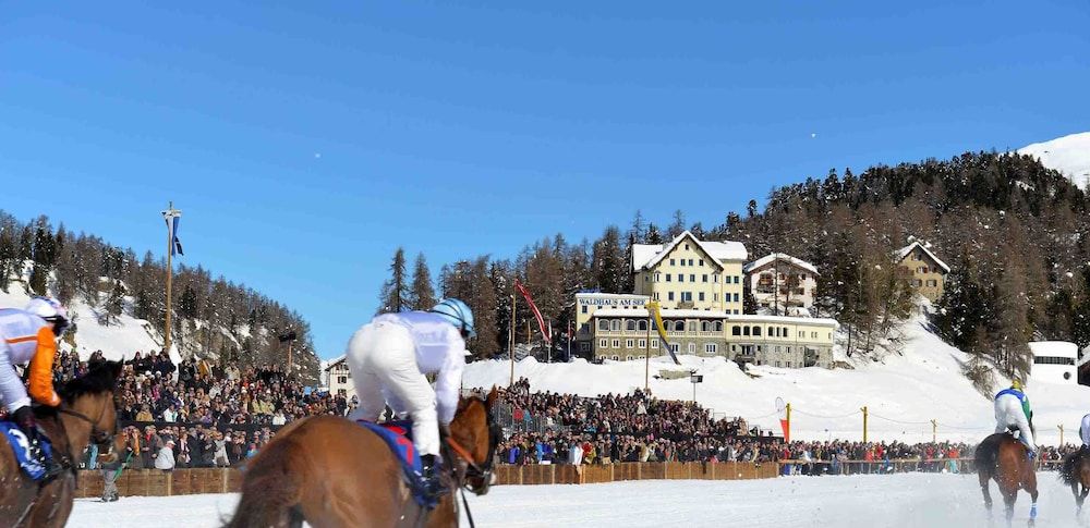Hotel Waldhaus Am See 1
