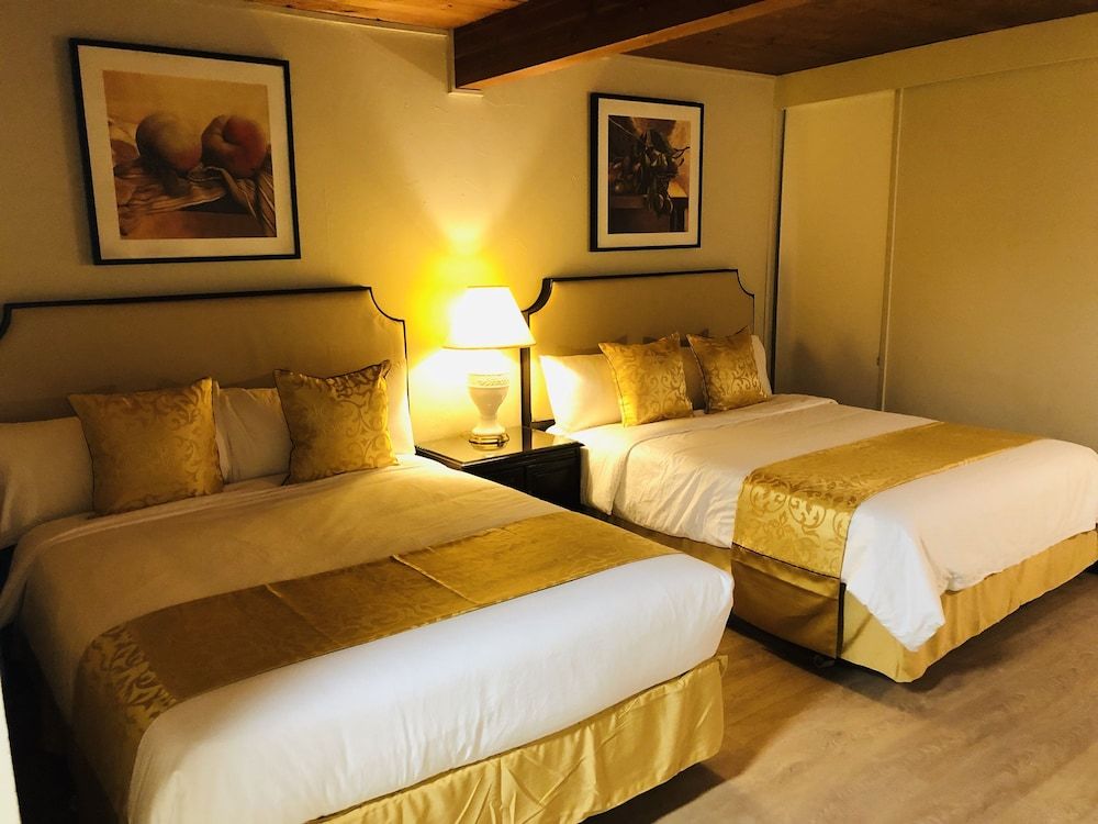 Grizz Hotel 2 Grizz Hotel 2