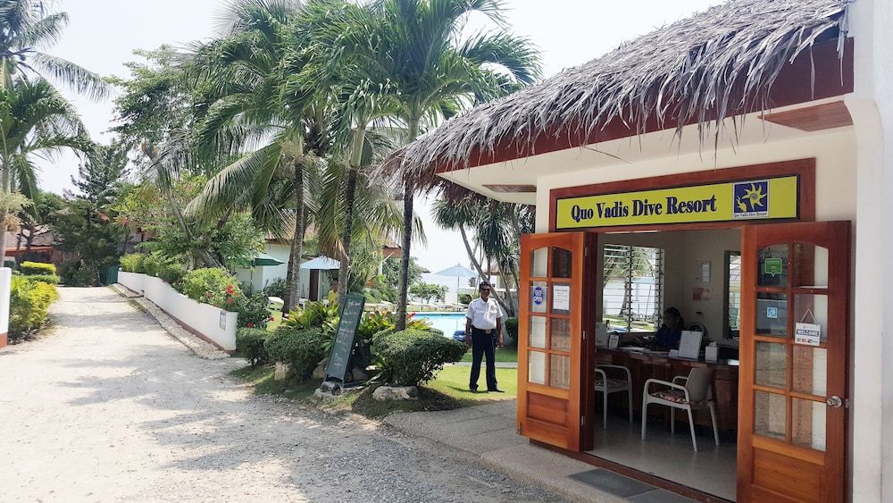 Quo Vadis Dive Resort Moalboal 2