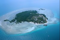 Dos Palmas Island Resort & Spa