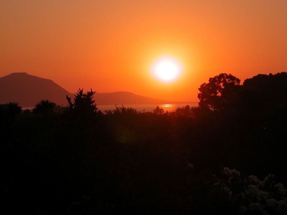 Bougainvillea Hotel Apartments 3