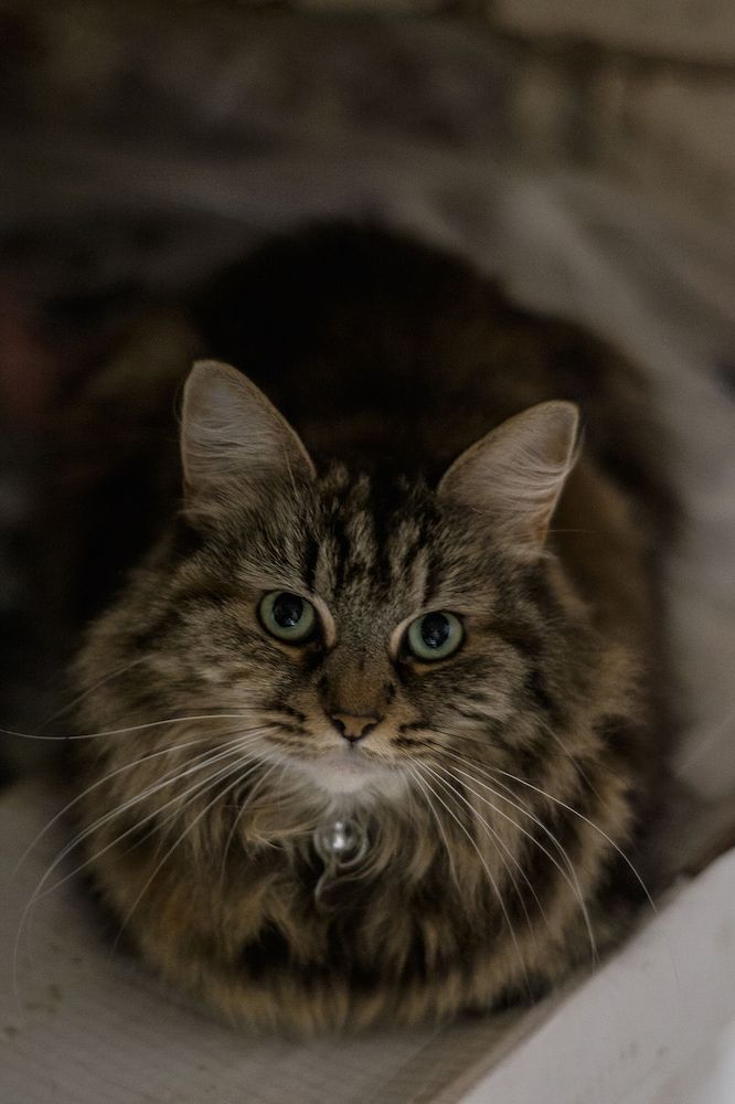 Home Brighton Backpackers 2