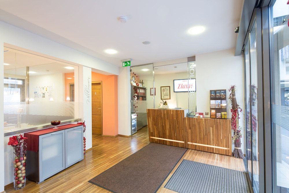 Hotel Zlami-Holzer 2 Hotel Zlami-Holzer 2