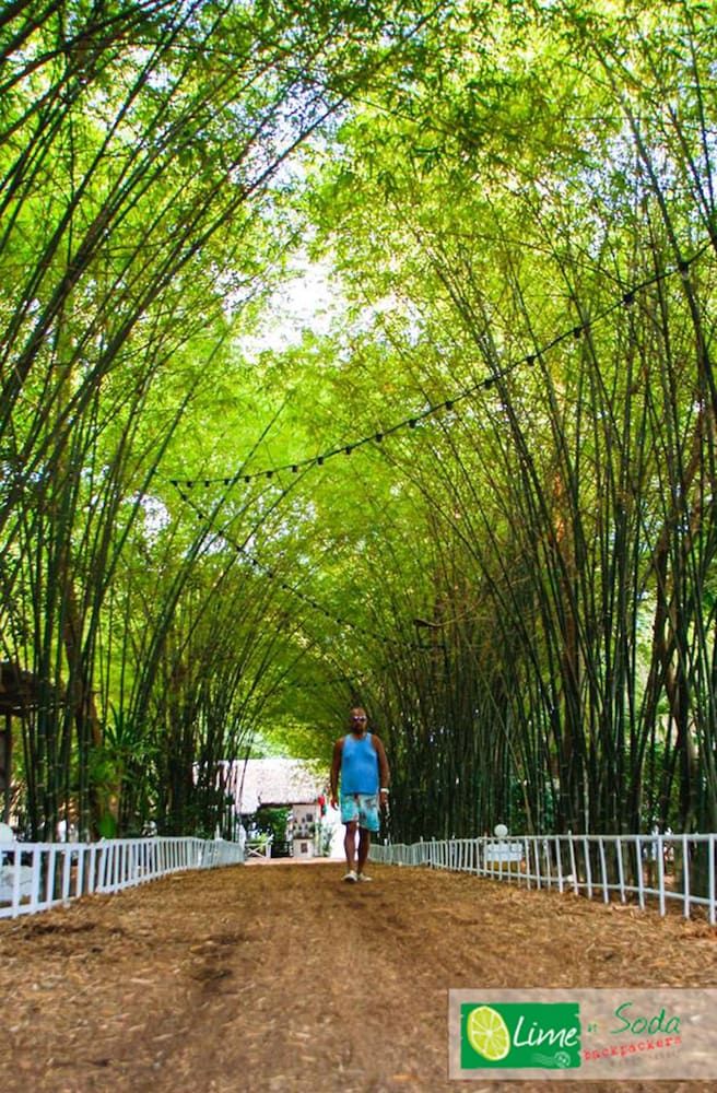 Lime n Soda backpackers beach resort 2