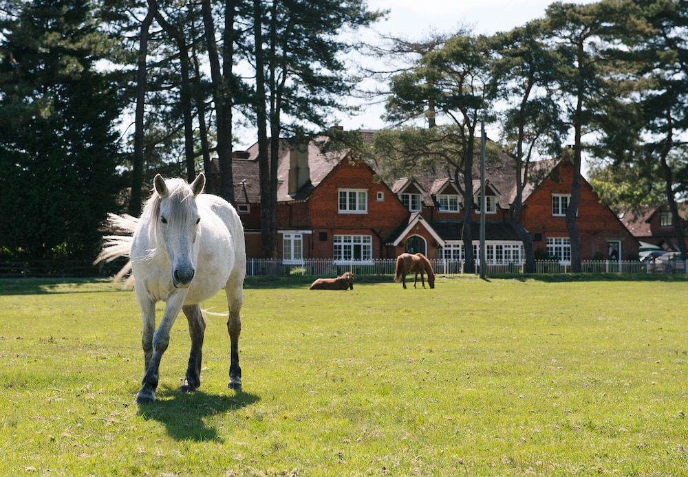 Beaulieu Hotel 4 estrelas em Brockenhurst