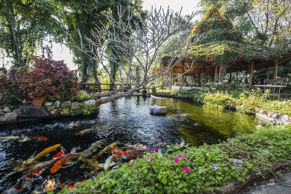 Phu Chaisai Mountain Resort & Spa Chiangrai 4 estrelas em Mae Chan