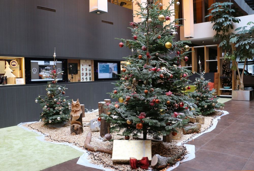 Tailormade Hotel Sihlpark 3