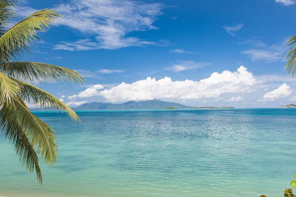 The Scent Hotel 1 The Scent Hotel 1