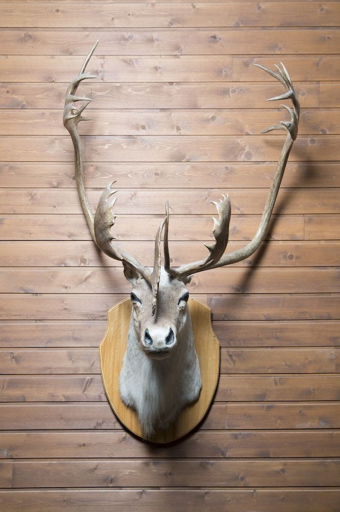 Hôtel-Musée Premières Nations 3