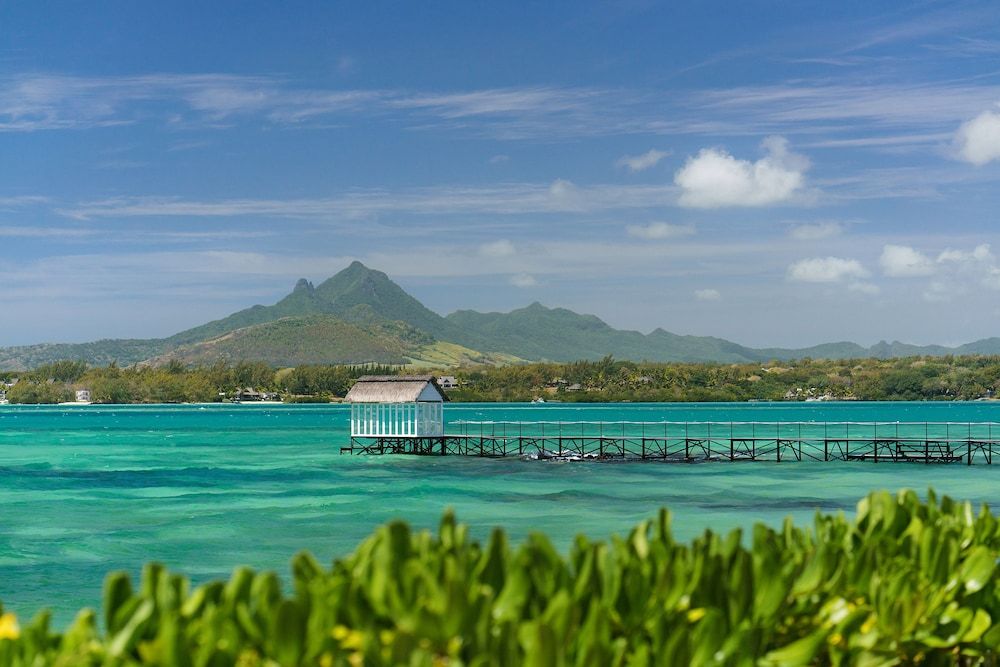 Tropical Attitude 1 Tropical Attitude 1