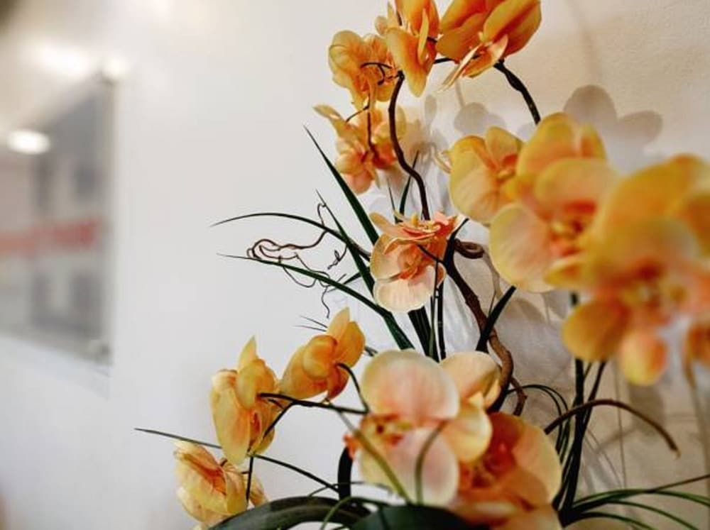 Gainsborough House Hotel 3