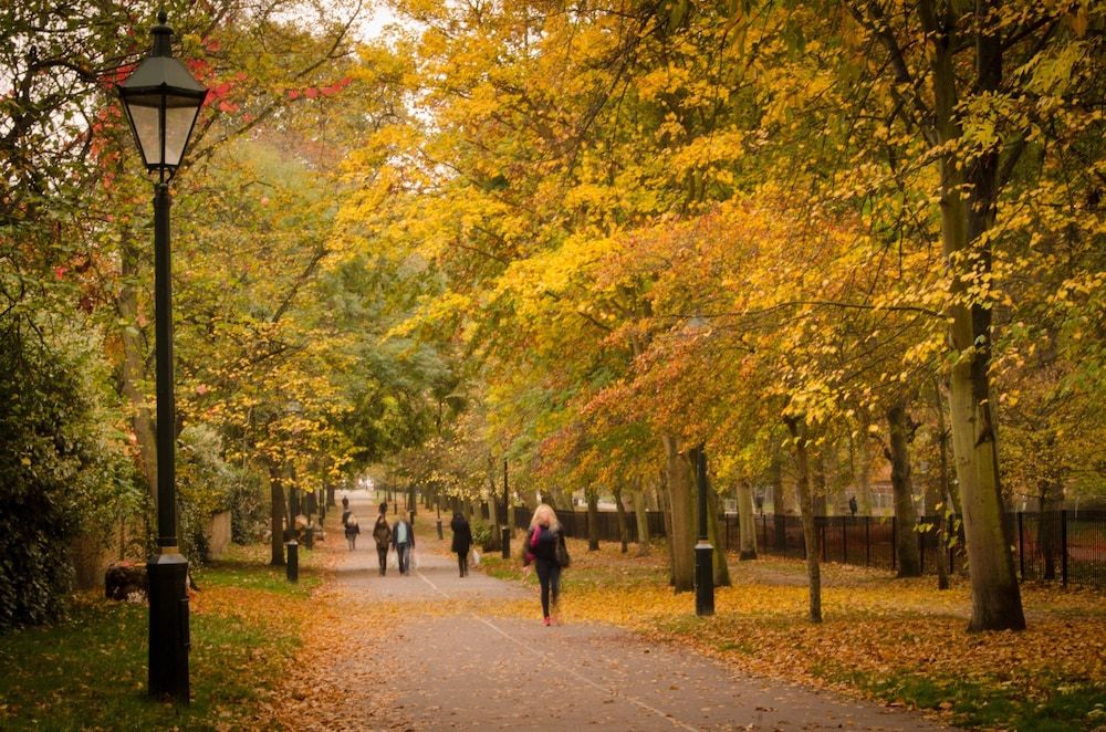 Holiday Inn Express London - Croydon 3 stelle a Croydon