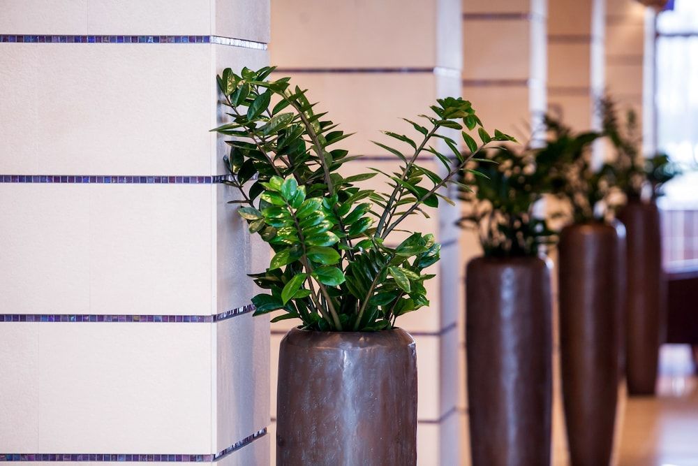 Greenfield Hotel Golf & Spa - All Inclusive 2