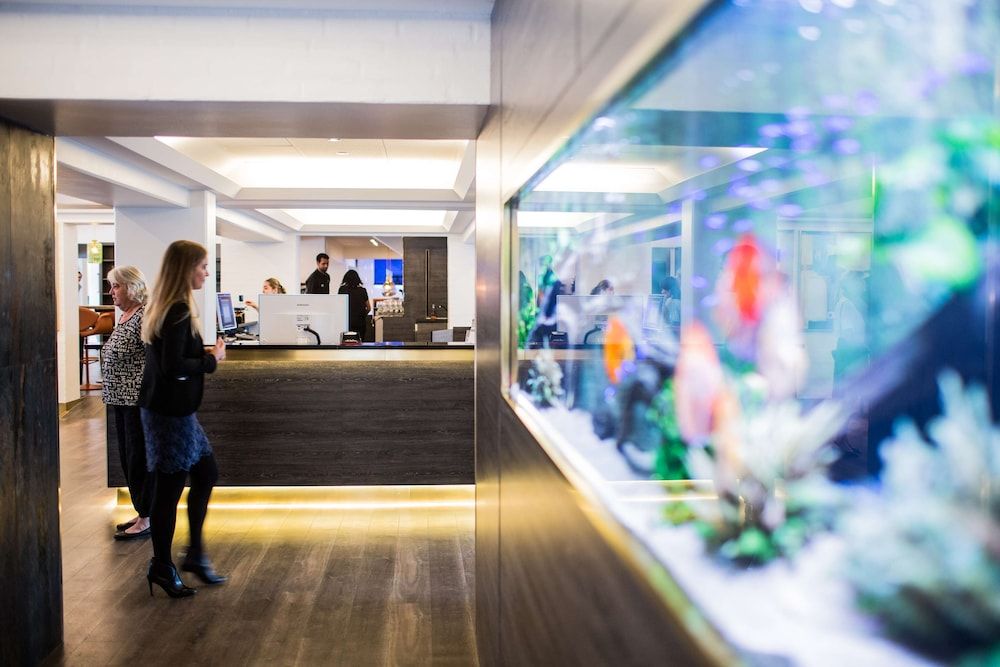 Radisson Blu Limfjord Hotel, Aalborg 2