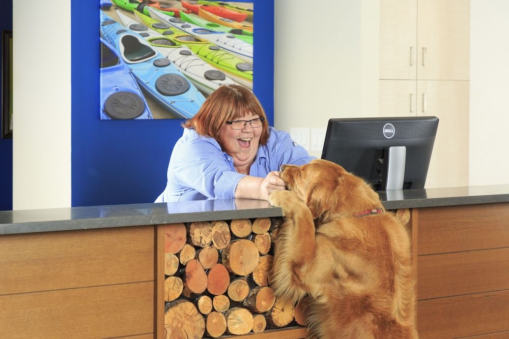 Accent Inns Burnaby 3