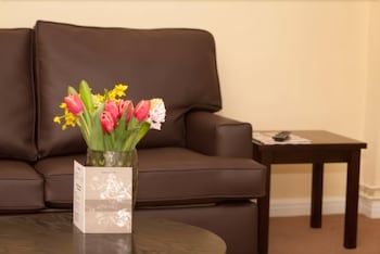 The Dolphin SA1 Hotel 1 The Dolphin SA1 Hotel 1