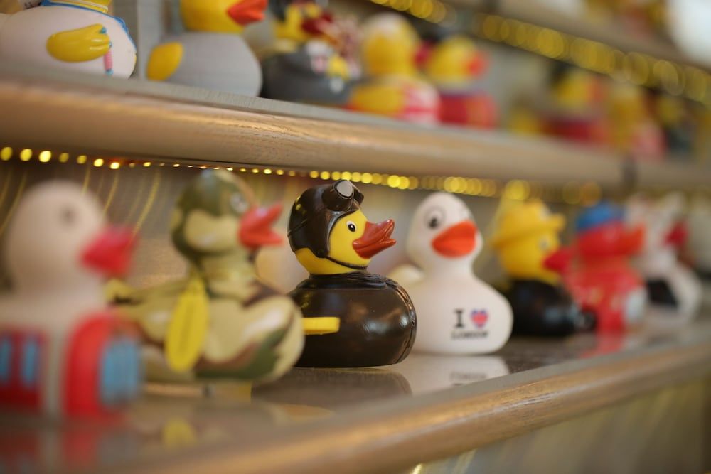 The Runnymede on Thames 2