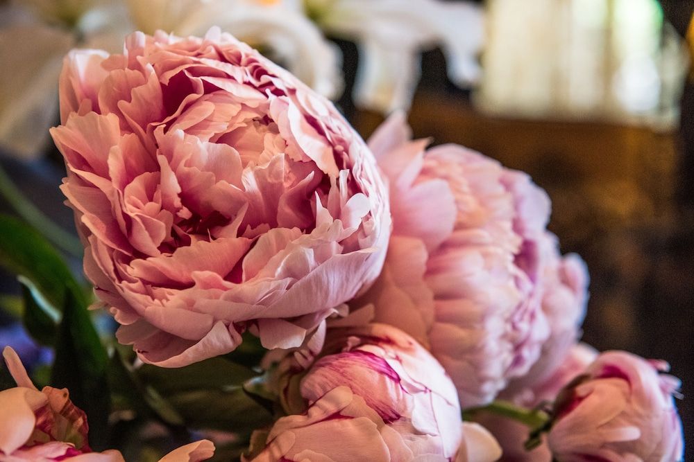 Grand Hotel Du Lac 3