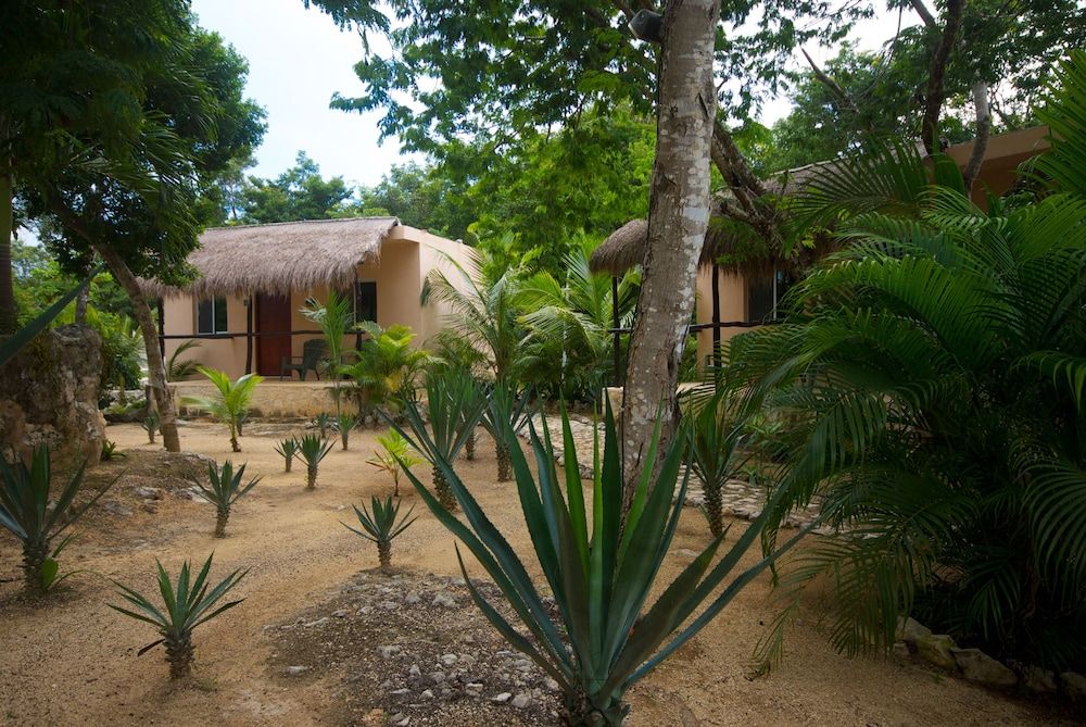 Villa Tortugas 2