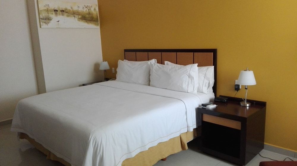 Holiday Inn Express Paraiso Dos Bocas 3