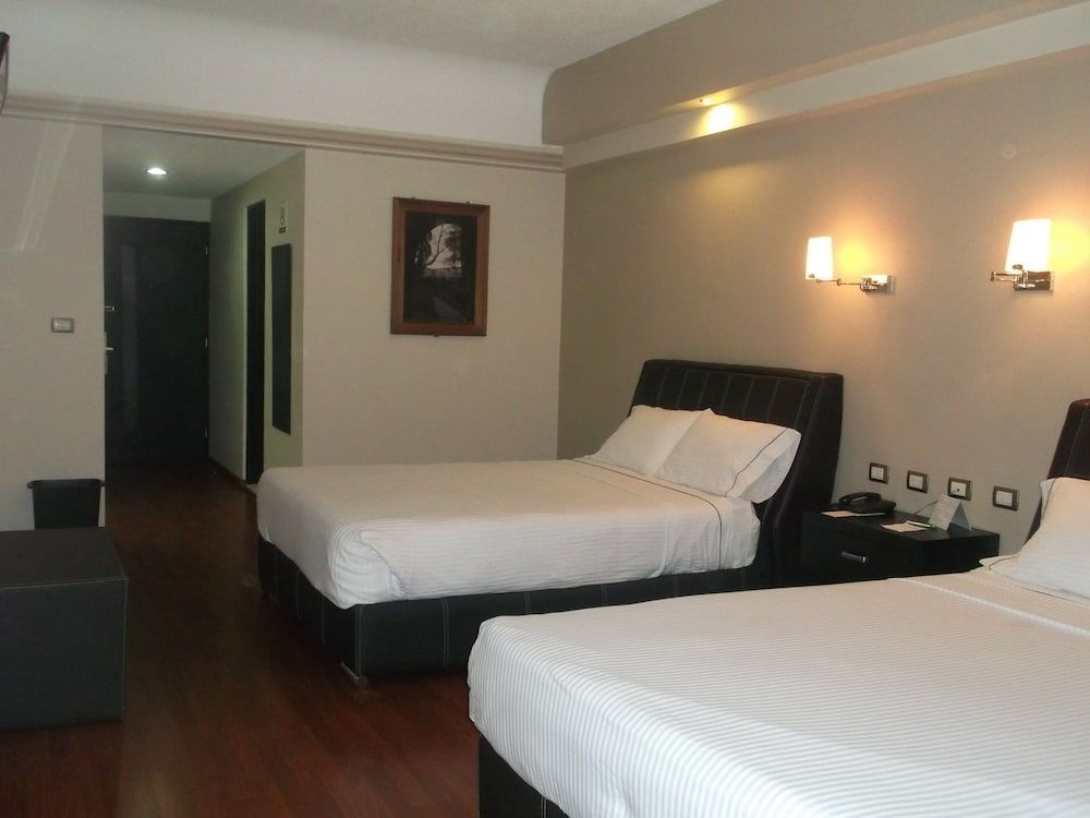 Hotel Diana del Bosque by DOT Urban 3