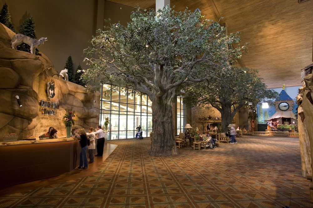 Great Wolf Lodge Grapevine 2