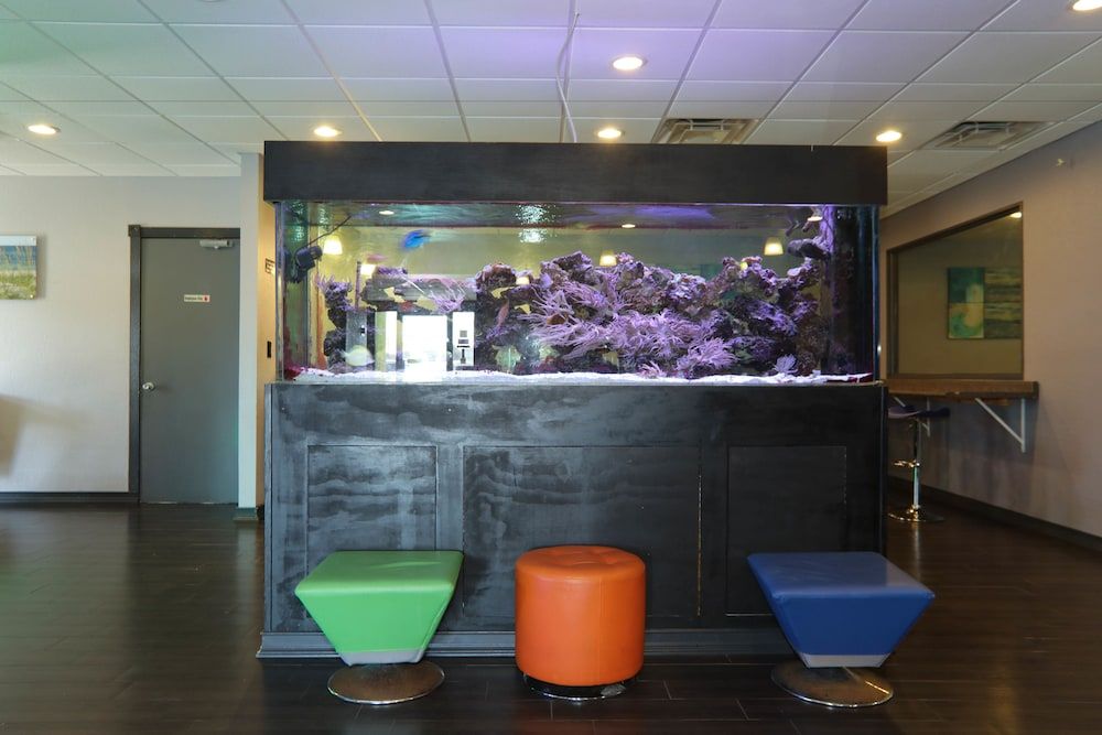 Emerald Coast Inn And Suites 2