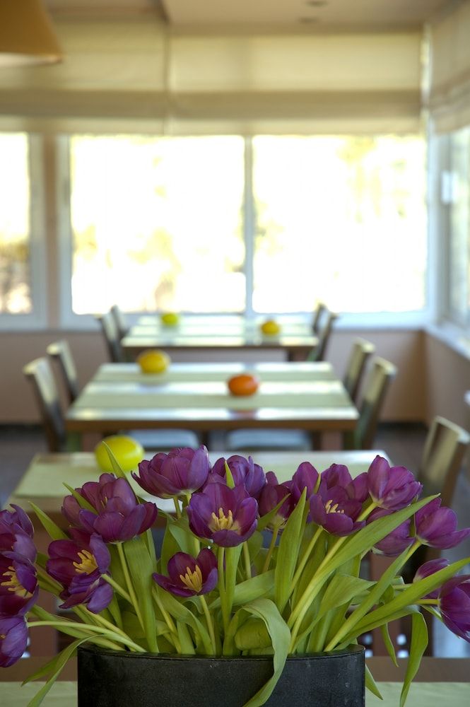 Myrto Hotel - Mati Attica 2