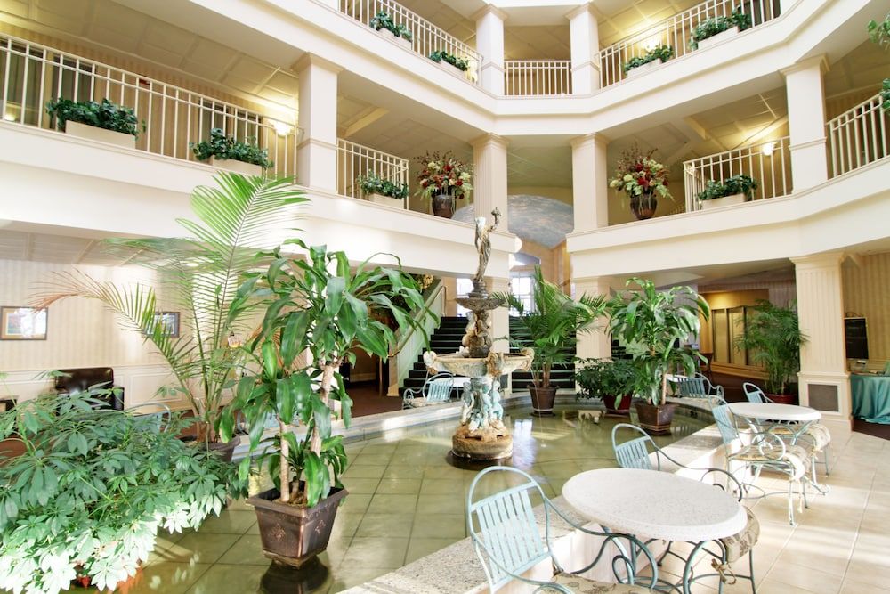 Bella Vista Suites 1