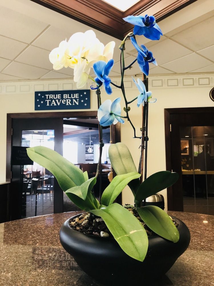 Nathan Hale Inn & Conference Center 2