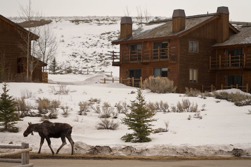 Spring Creek Ranch 3