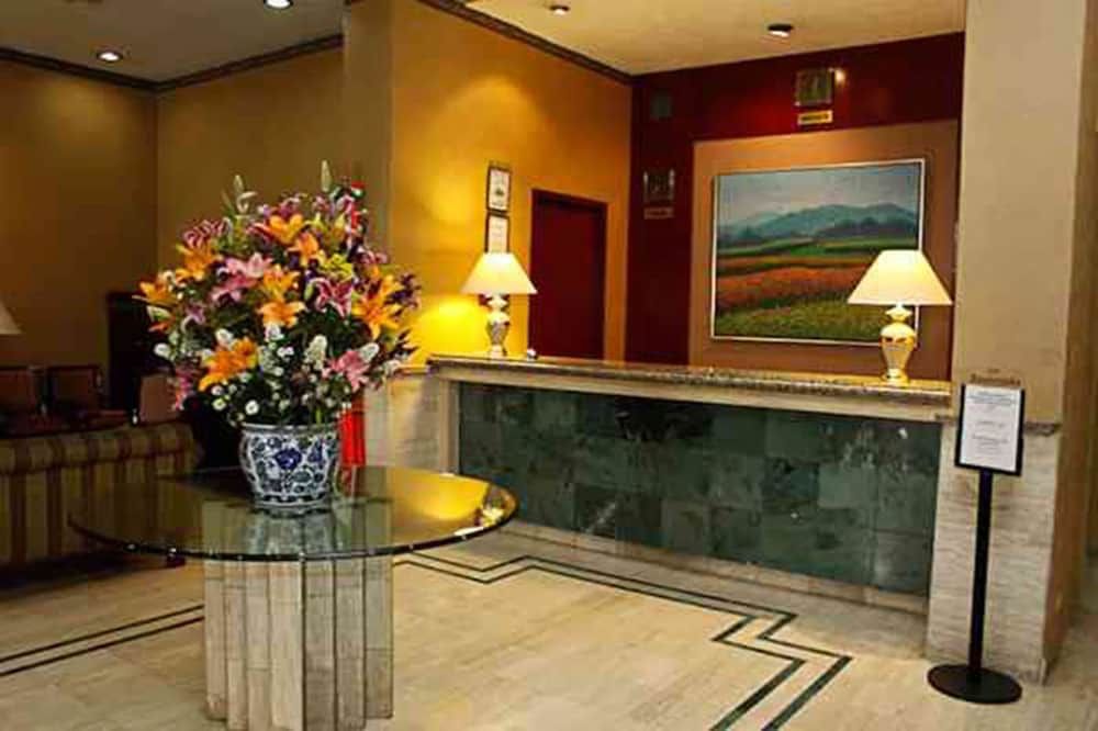 Pedregal Palace 3 Pedregal Palace 3