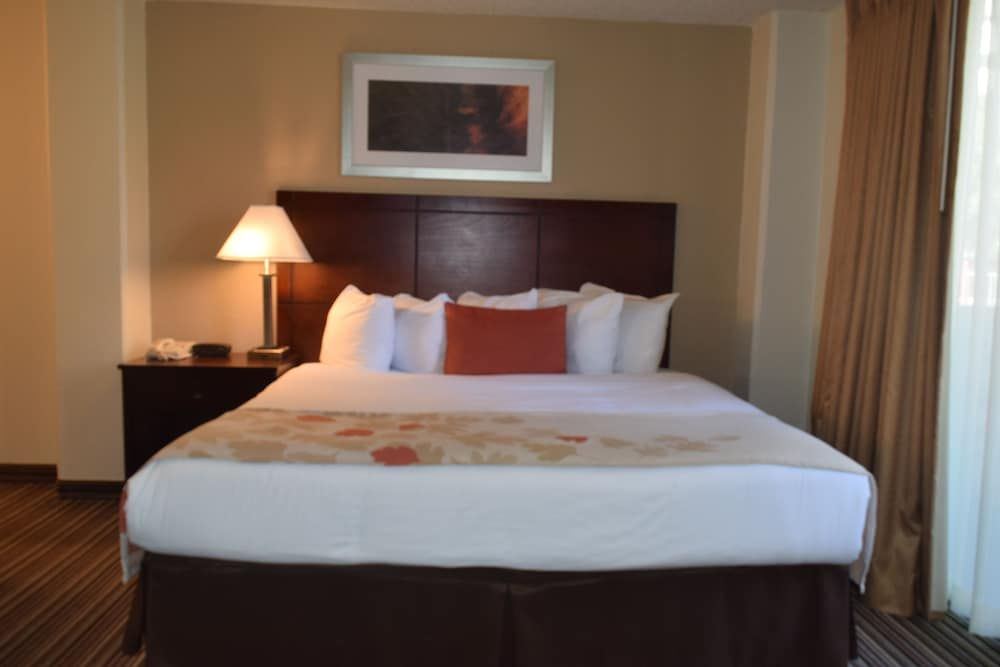 Hawthorn Suites by Wyndham Richardson 3 estrelas em Richardson