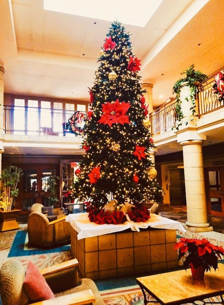 Atrium at Orange County Airport 3