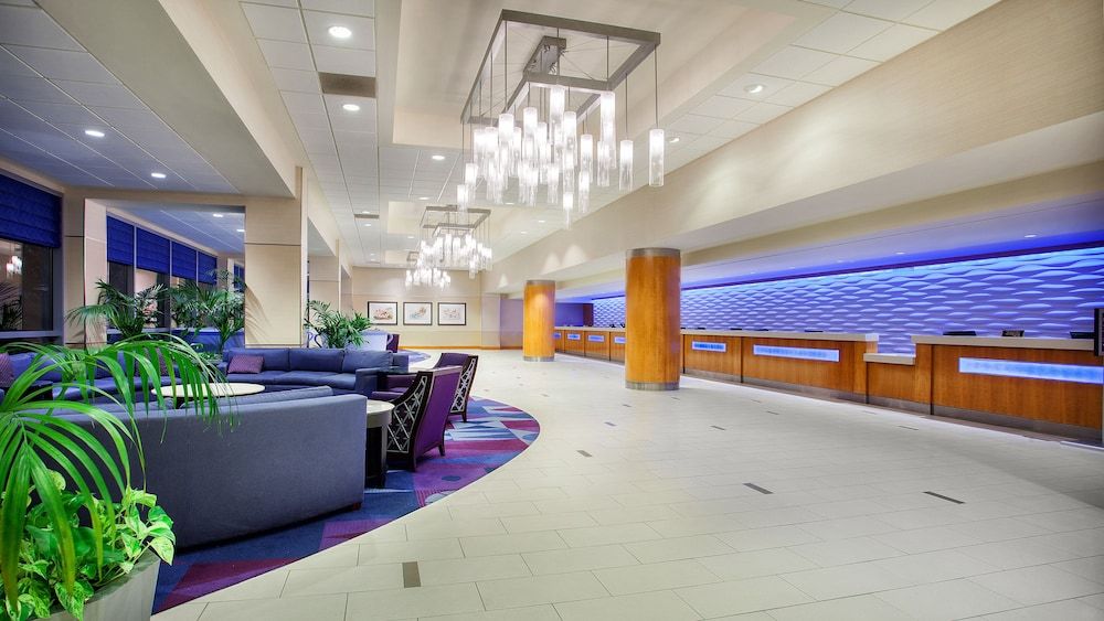 Disneyland Hotel 3