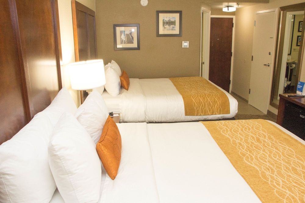 Comfort Inn Atlanta Airport 3