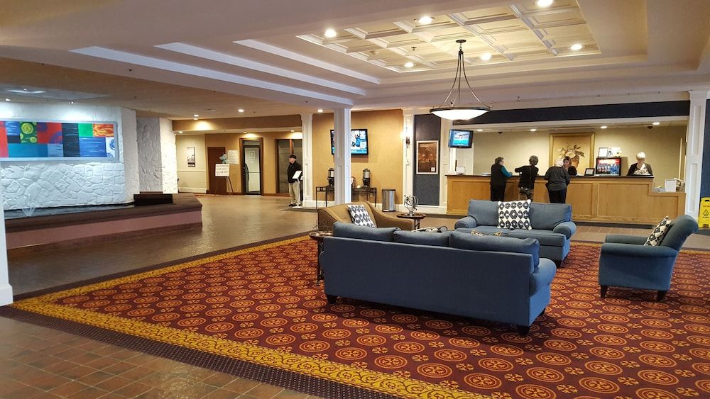 Millennium Buffalo 3