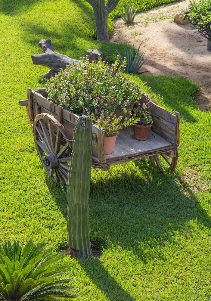 Posada Real Los Cabos 2