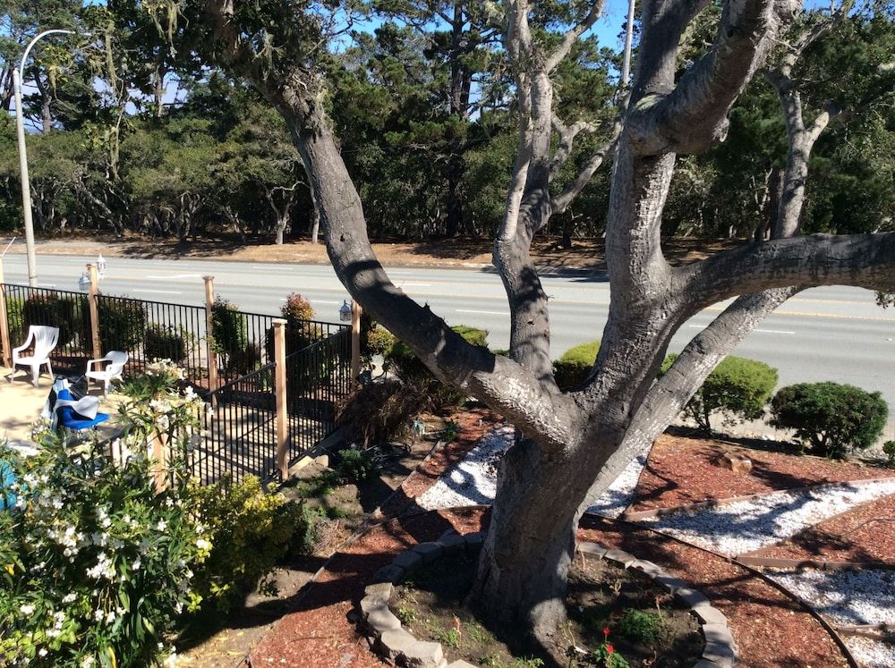 Americas Best Value Presidents Inn on Munras 2 estrelas em Monterey