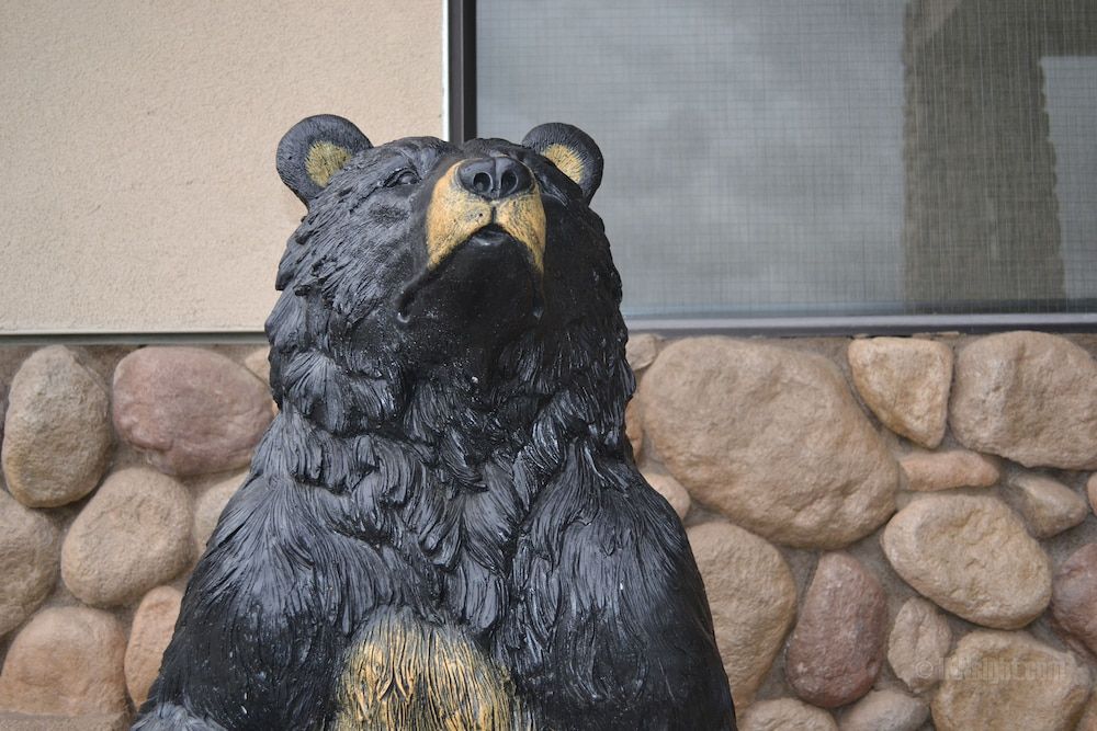 Yosemite Southgate Hotel & Suites 2