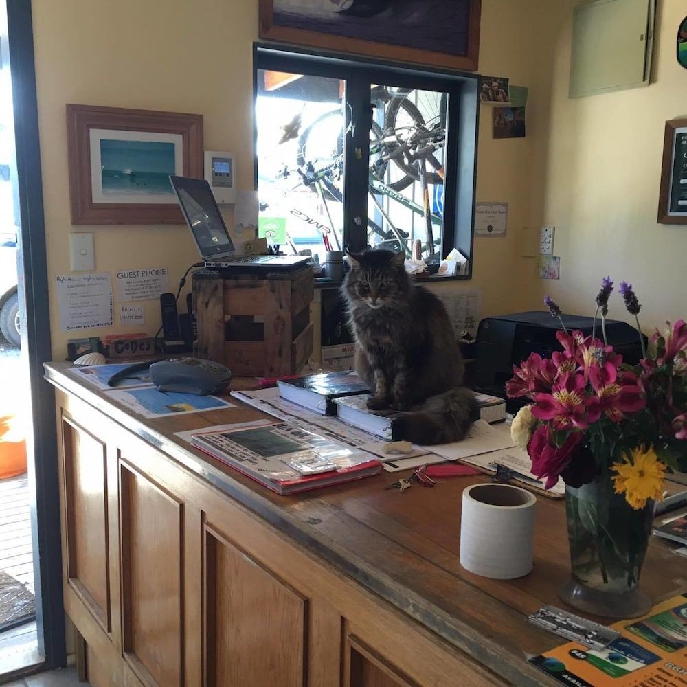 Raglan Backpackers 2