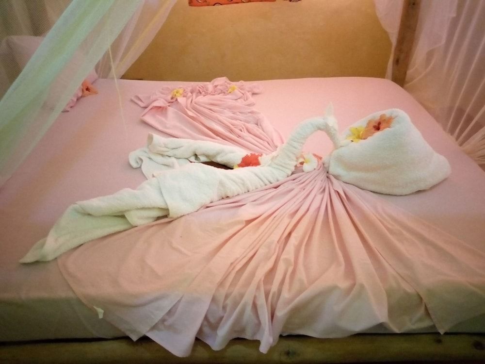 Mnana Lodge Kizimkazi 2