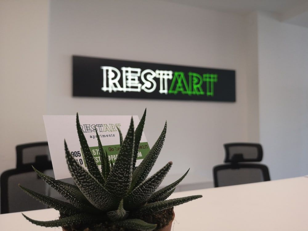 Restart Apartments 3
