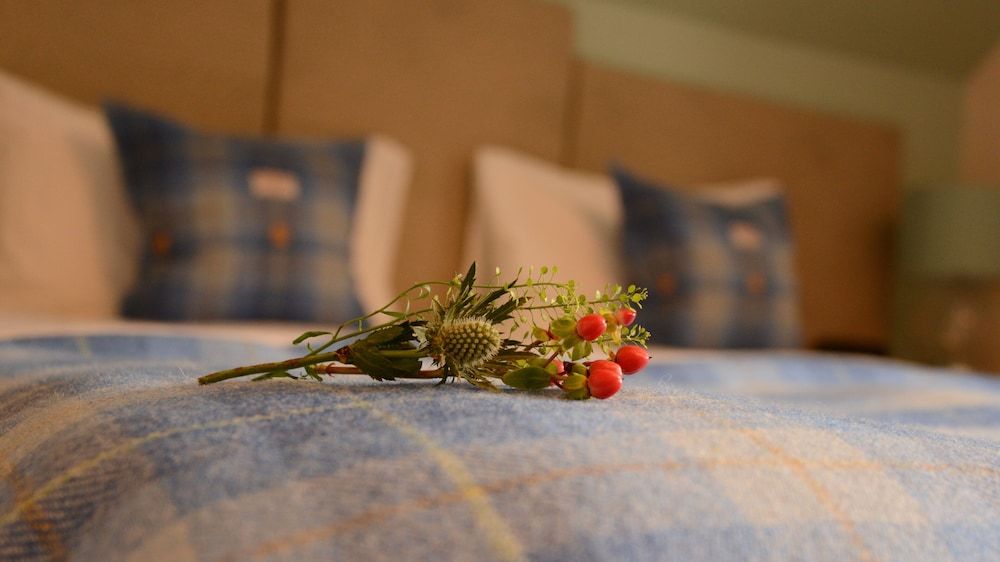 Torlinnhe Guesthouse 3