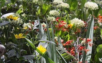 The Old Stables Bed and Breakfast